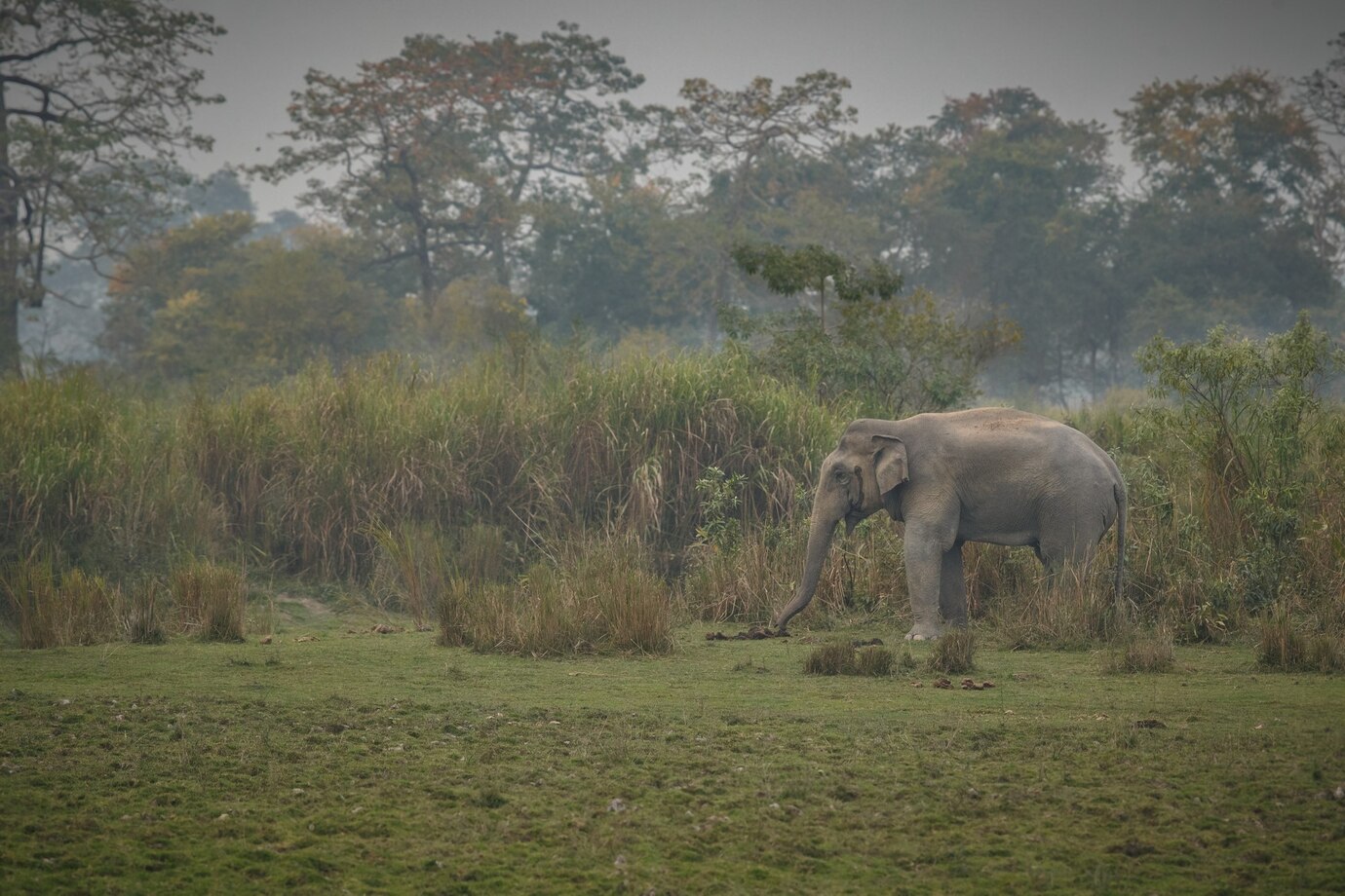 Jim Corbett during the Monsoon Season