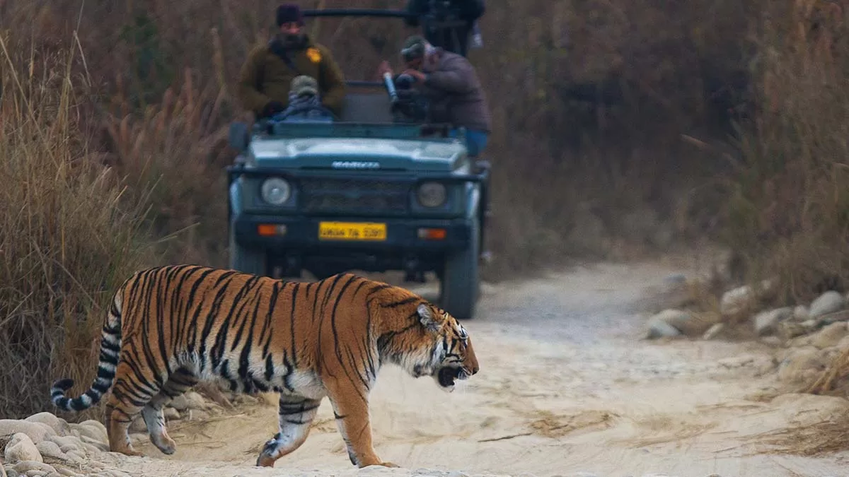 Explore Your 2 Days and 3 Nights Visit to Jim Corbett